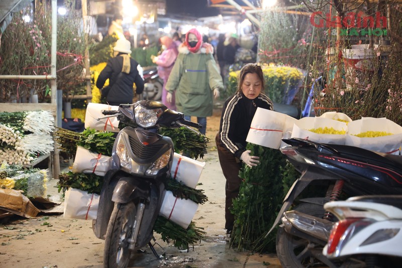 Gan Tet, cho hoa lon nhat Ha Noi van diu hiu du gia giam-Hinh-8