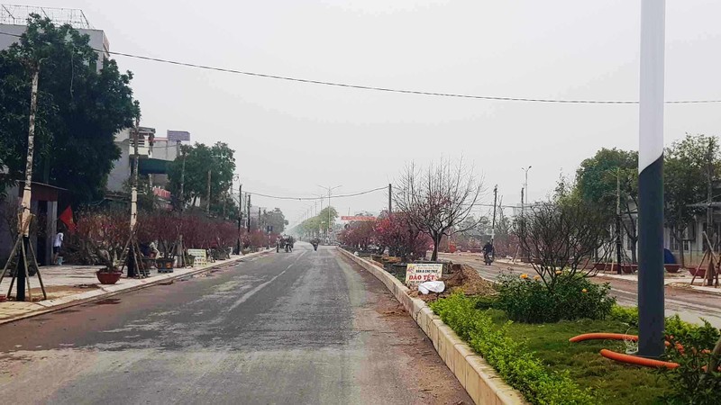 Hai Duong: Doanh nghiep rao duong thi cong, “thu phu” dao Tet lo vang khach