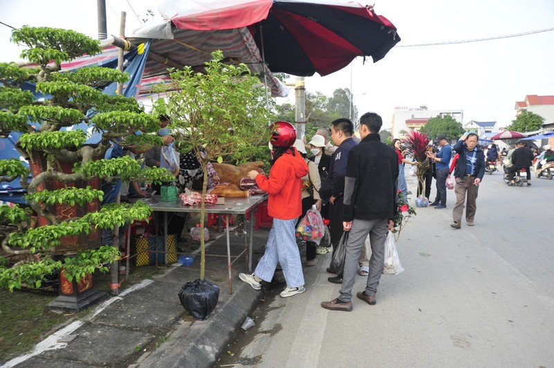 Hang nghin nguoi ve cho Vieng mua may, ban rui dau nam-Hinh-16