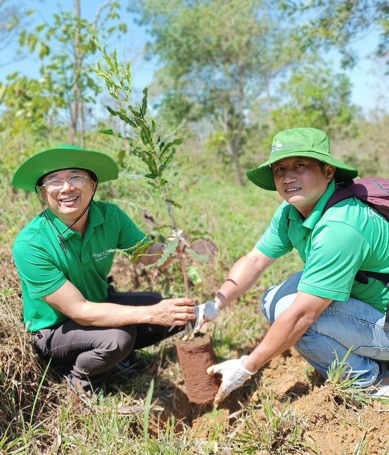 Trong cay xanh, ve voi thien nhien- lieu phap chua lanh tam hon-Hinh-7