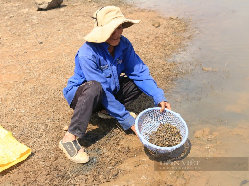 Nuoc ho thuy loi xuong thap, nong dan Kon Tum do ve bat hen-Hinh-7