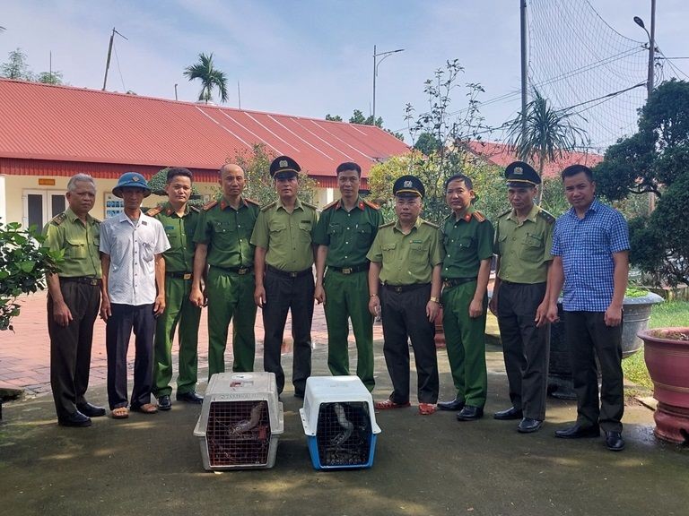 Hai Duong: Nuoi 2 con ho trai phep, mot nguoi dan ong bi khoi to-Hinh-2