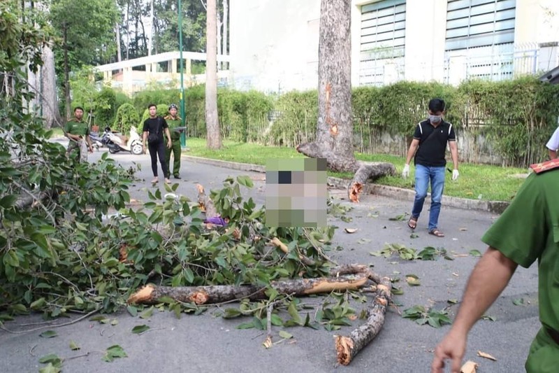 TP HCM: Dieu tra trach nhiem vu nhanh cay roi, 5 nguoi thuong vong