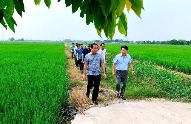 Hai Duong: Hoc sinh nghi hoc tu ngay 7/9 tranh bao so 3