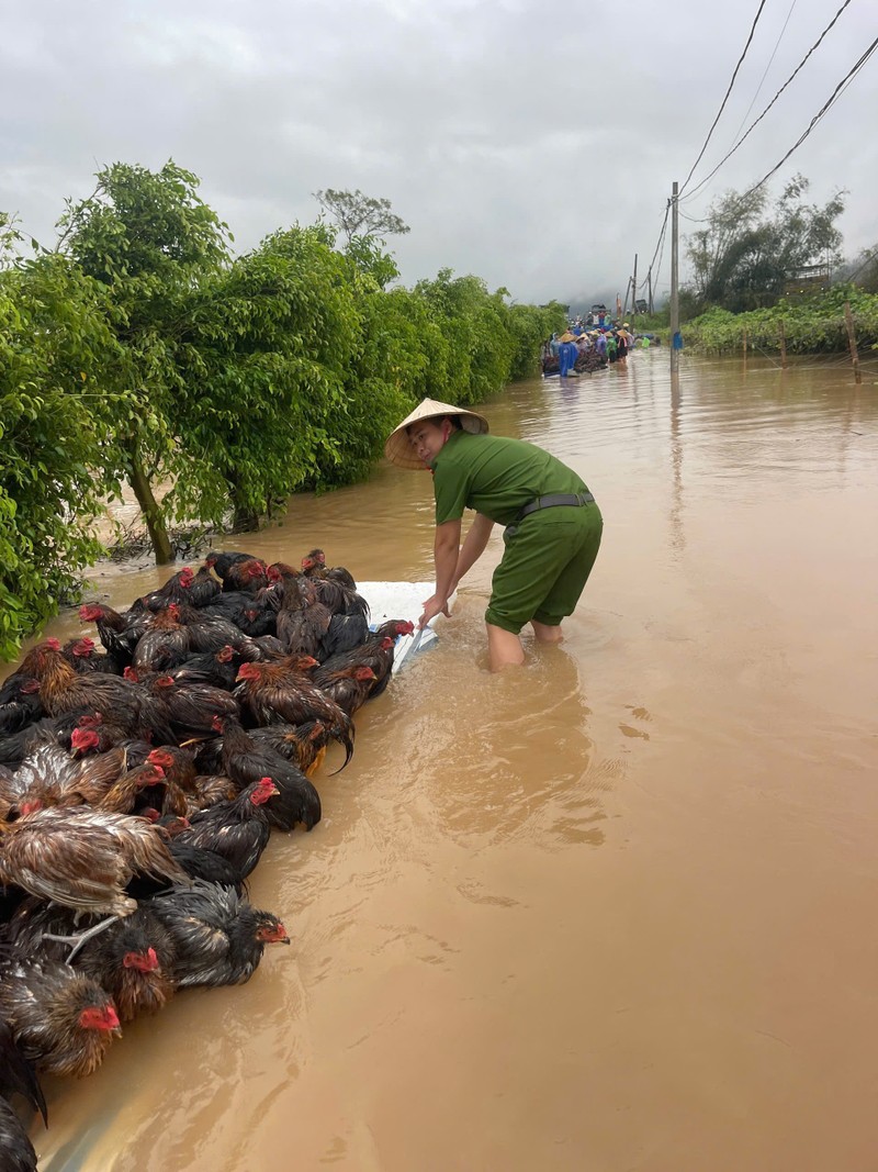 Cong an Hai Duong phat lenh truc 100% quan so ung pho lu-Hinh-4