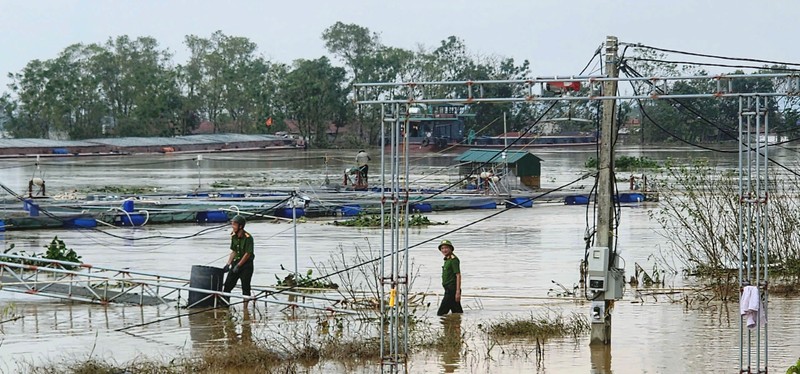 Hai Duong: Tieu thu hon tram tan ca long tu tinh nguoi trong lu