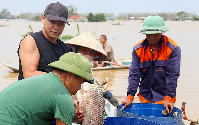 Hai Duong ho tro nguoi dan anh huong bao lu kip thoi, cong khai