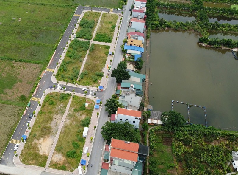 Cong khai nguoi dau gia dat cao roi bo coc la can thiet