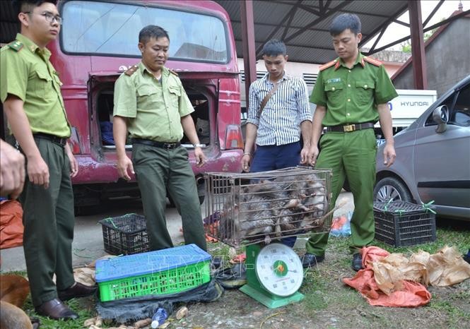 Quang Ninh: 