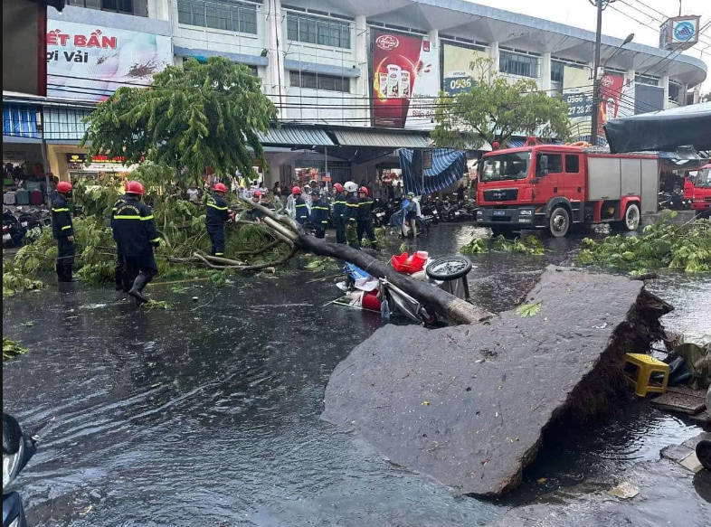 Da Nang: Mot phu nu bi thuong do cay lon bat goc trong mua dong