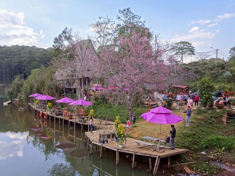 Kon Tum: Tuan Van hoa - Du lich “Hoa Anh Dao giua dai ngan Mang Den”-Hinh-2