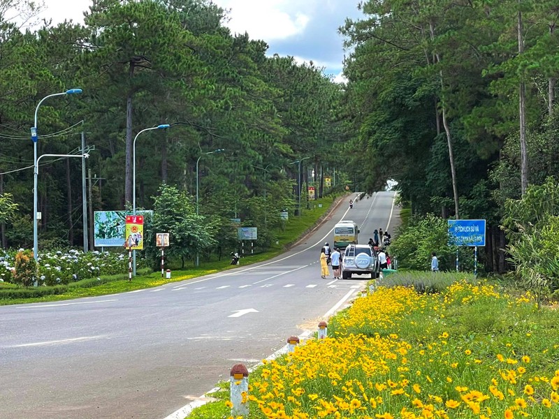 Kon Tum: Tuan Van hoa - Du lich “Hoa Anh Dao giua dai ngan Mang Den”