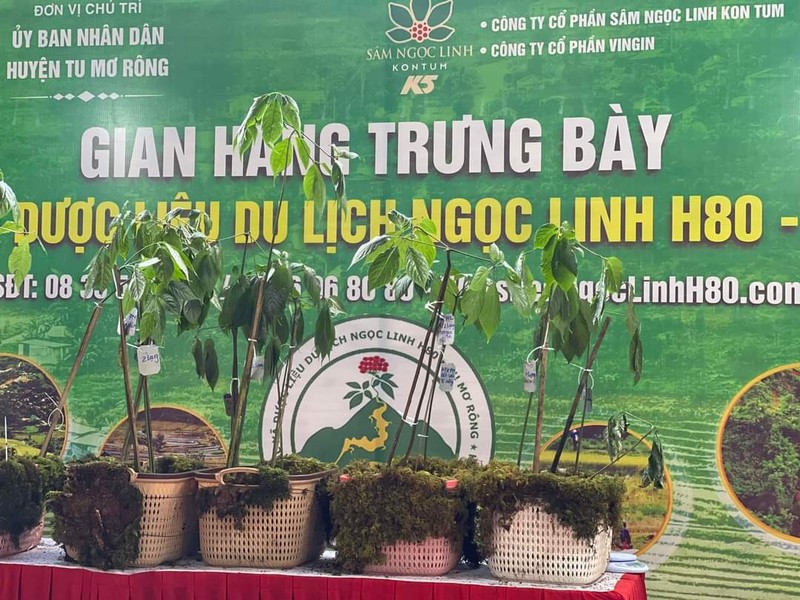 Bo truong Bo NN&PTNT du phien cho Sam Ngoc Linh tai Kon Tum-Hinh-3