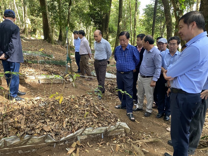 Sam Ngoc Linh, con nguoi, van hoa... la tiem nang du lich-Hinh-5