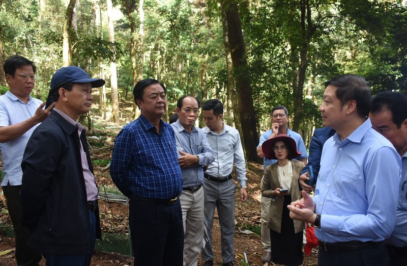 Sam Ngoc Linh, con nguoi, van hoa... la tiem nang du lich-Hinh-6