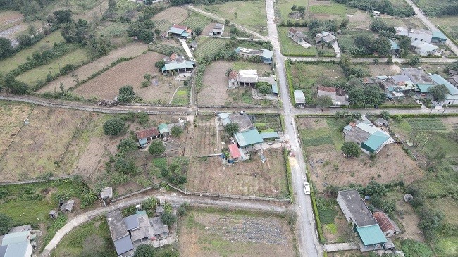 Mai vang 5 canh giup vung que ngheo duoi chan Hoanh Son khoi sac