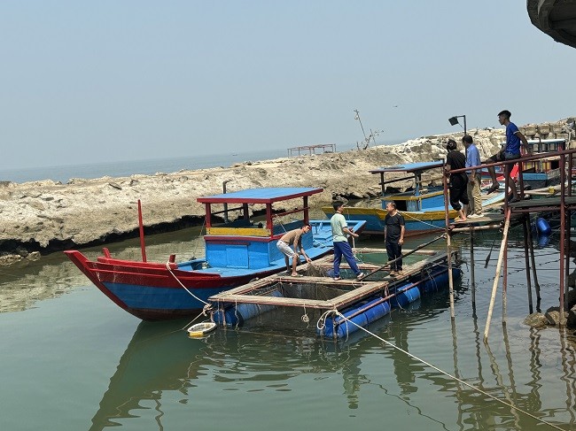 Muc nhay Vung Ang - dac san mien bien Ha Tinh bat dau vao mua-Hinh-10