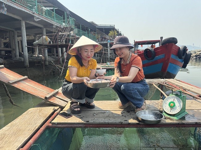 Muc nhay Vung Ang - dac san mien bien Ha Tinh bat dau vao mua-Hinh-9