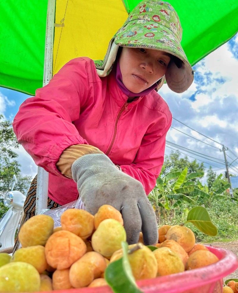 Loai qua xua cho khong ai lay gio chi em mua voi gia dat-Hinh-3