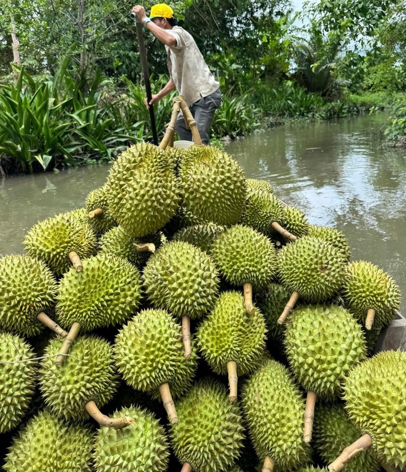 Tien thu ve tu ban loai “trai cay vua” cham moc chua tung co-Hinh-2