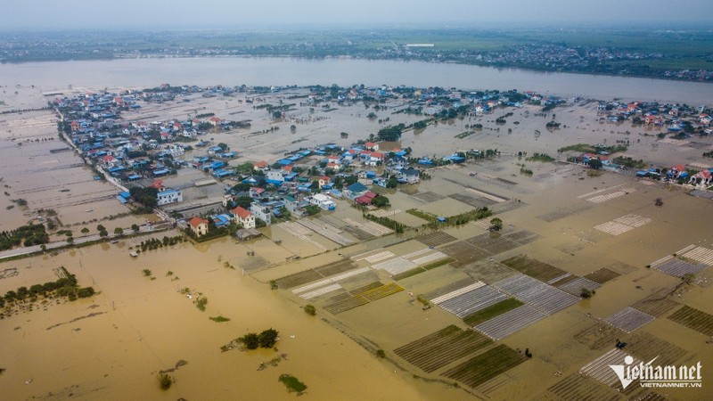 Vua hoa lon nhat Nam Dinh vuc day sau thien tai