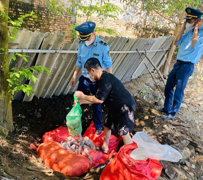 Nghe An: Tieu huy 400kg san pham dong vat khong ro nguon goc xuat xu