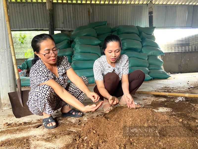 Nong dan Ha Tinh lai tien trieu moi ngay nho trong nam-Hinh-3