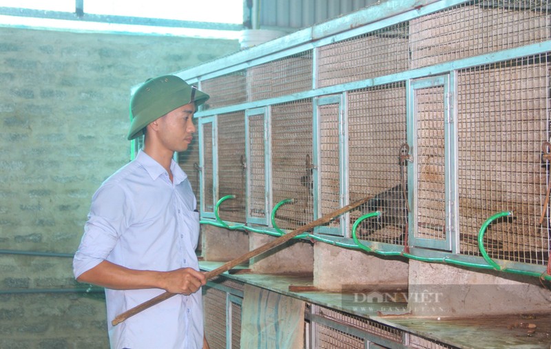 An nen lam ra nho thuan hoa va nuoi con dong vat hoang da-Hinh-5