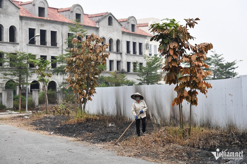 Ha Noi: Hang chuc biet thu bo hoang lam noi trong rau, nuoi ca-Hinh-11