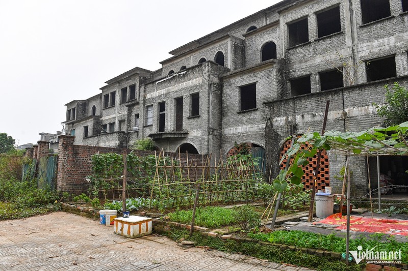 Ha Noi: Hang chuc biet thu bo hoang lam noi trong rau, nuoi ca-Hinh-13