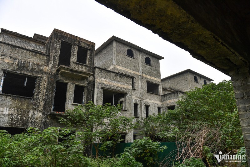 Ha Noi: Hang chuc biet thu bo hoang lam noi trong rau, nuoi ca-Hinh-7