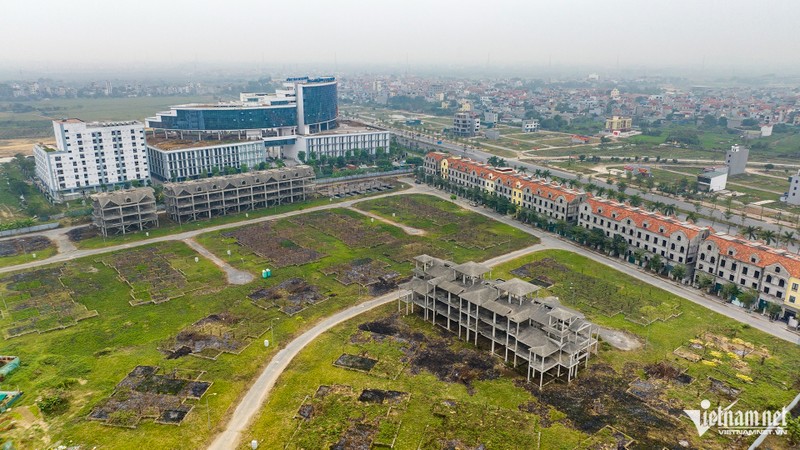 Ha Noi: Hang chuc biet thu bo hoang lam noi trong rau, nuoi ca