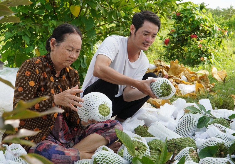 Anh nong dan Can Tho kiem bon tien nho trong na sau rieng-Hinh-5