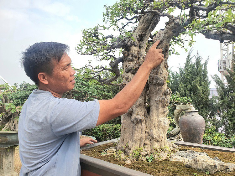 Dan cay canh tien ty do bo ve Ha Noi truoc Tet Duong lich-Hinh-11