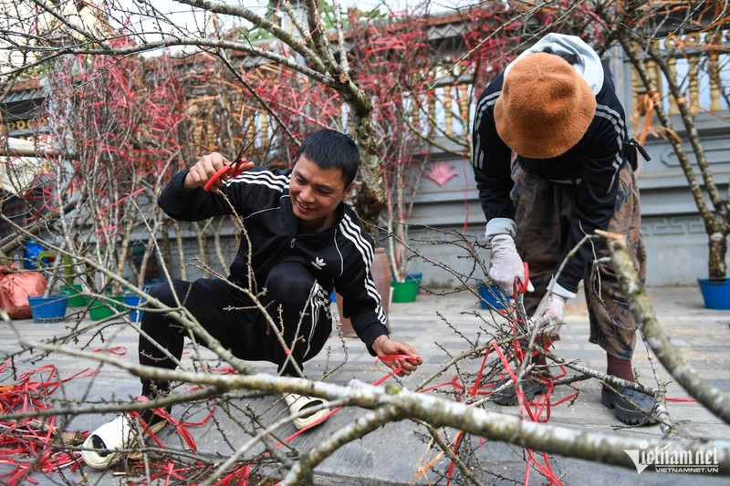 Mat mua, quat dao duoc gia nhung lai kem sac nen vang nguoi mua-Hinh-8