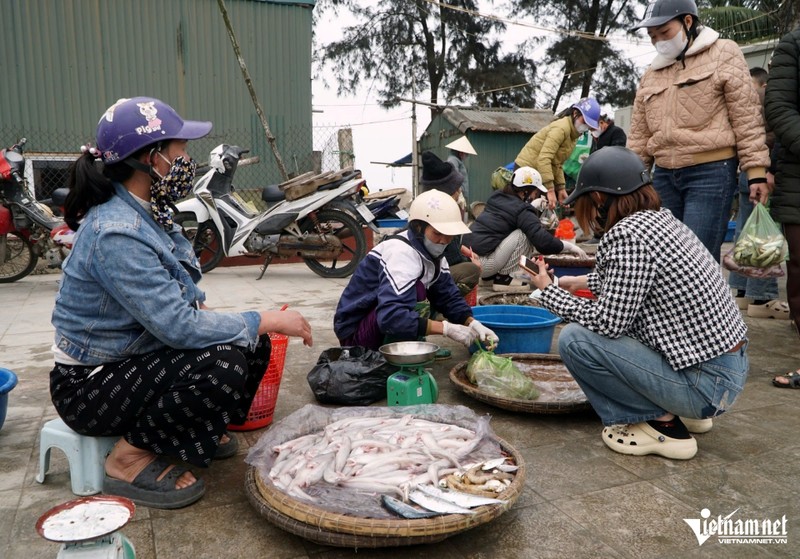 Ngu dan Thanh Hoa trung dam “loc bien” ban gia ca trieu dong-Hinh-2