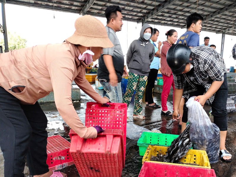 Ngu dan cho ‘loc bien’ ve bo voi nhieu khoang tau day ap ca-Hinh-3