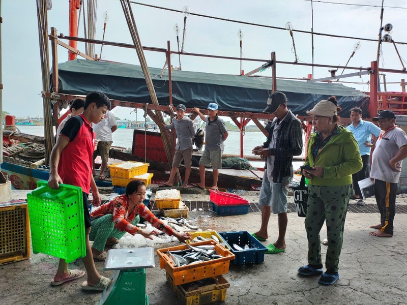 Ngu dan cho ‘loc bien’ ve bo voi nhieu khoang tau day ap ca-Hinh-9