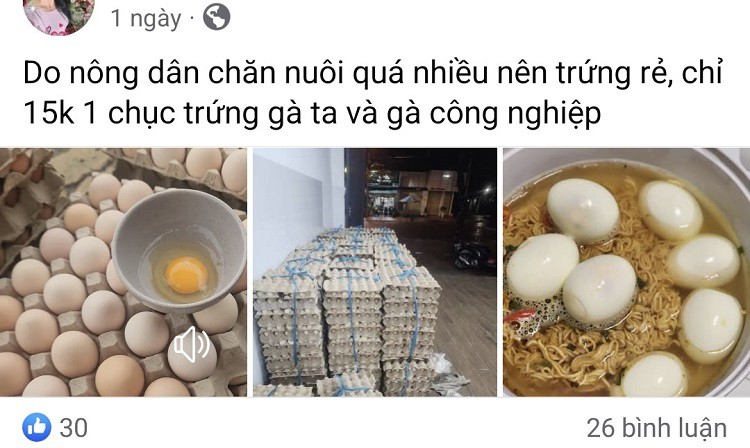 Trung ga ban voi gia “re chua tung co”, nguoi nuoi noi gi?-Hinh-2