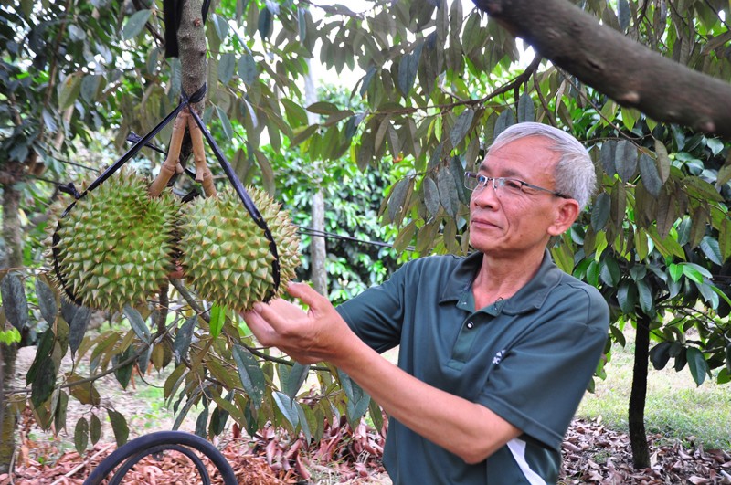 Kinh ngac voi nhung nong dan o “xu sau” ve muc do giau co-Hinh-3