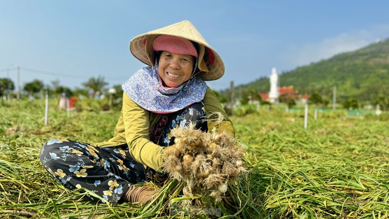 Duoc mua nhung gia thap nguoi dan trong toi o Ly Son “meo mat“-Hinh-12