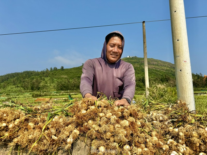 Duoc mua nhung gia thap nguoi dan trong toi o Ly Son “meo mat“-Hinh-19