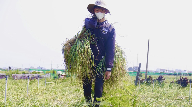 Duoc mua nhung gia thap nguoi dan trong toi o Ly Son “meo mat“-Hinh-25