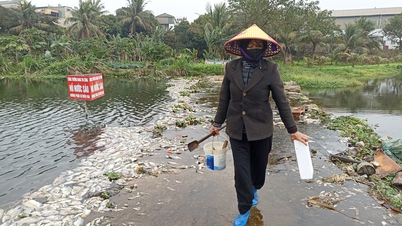 Ca chet tren suoi Co Dam o Thanh Hoa do o nhiem nguon nuoc-Hinh-2