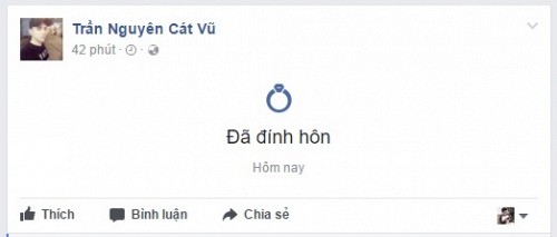 Tim - Truong Quynh Anh, ly hon roi lai dinh hon?