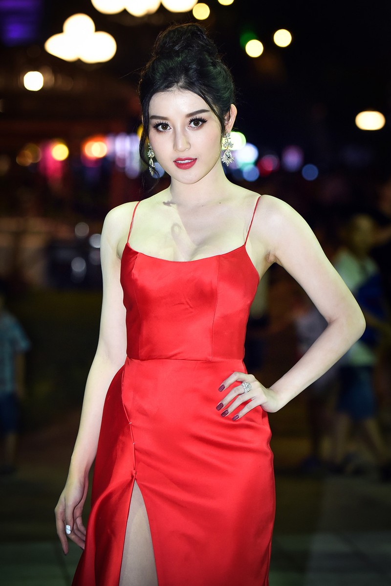 Dan Hoa hau Viet Nam long lay hoi tu trong dem Gala 30 nam-Hinh-8