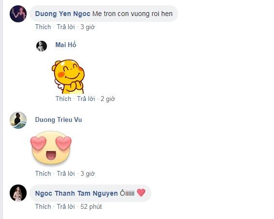 Mai Ho xuat hien xinh dep ben chong Viet kieu sau sinh con-Hinh-6