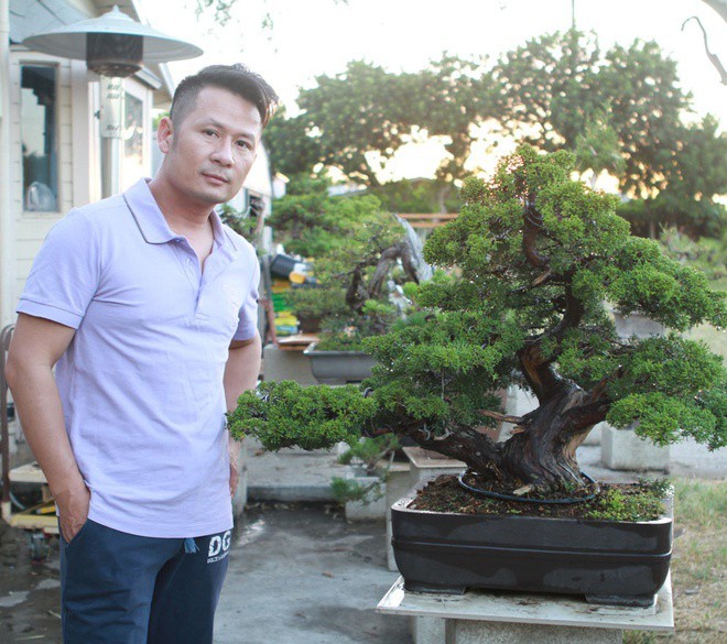 Trom dot nhap nha Bang Kieu tai My “khoang” cay bonsai dat do-Hinh-2