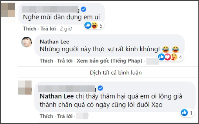 Nathan Lee chi dich danh Ngoc Trinh: 