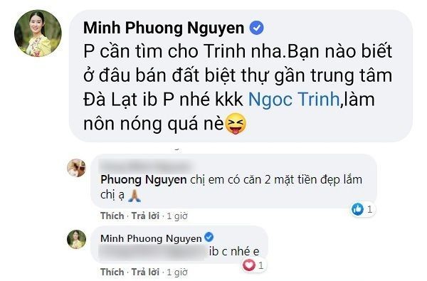 Nathan Lee tung tin nhan vach tran Ngoc Trinh mua dat ao?-Hinh-5